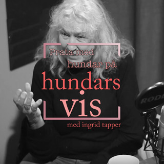Prata med hundar på hundars vis