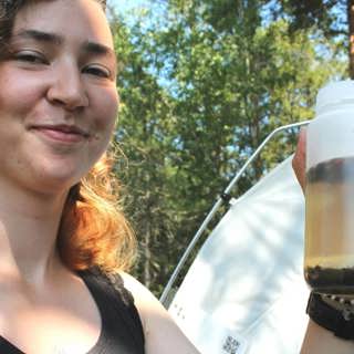 Volontärer jobbar för en större förståelse av insekter