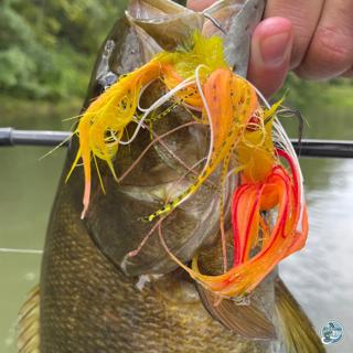S6, Ep 107: Puppy Chow and Popping Bugs: Brendan Ruch's Fishing Forecast