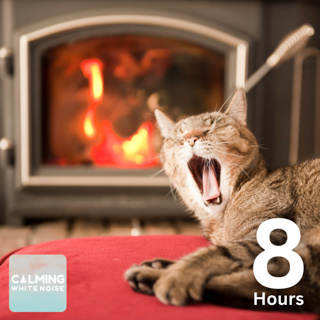 Purring Cat and Crackling Fireplace 🔥 (8 Hours) | Cozy Winter Ambience with Purring Cat Sounds