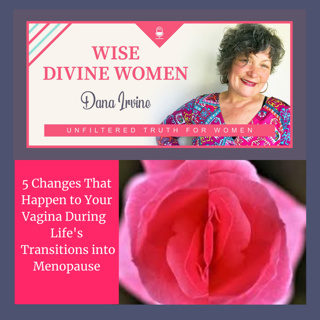 5 Changes That Happen to Your Vagina During Perimenopause into Menopause and Post Menopausal dryness, atrophy, inflammation, PH balance, libido, estrogen 