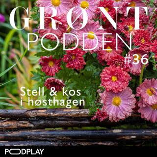 #36 Stell og kos i høsthagen