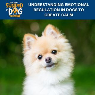 Understanding Emotional Regulation In Dogs To Create Calm #217