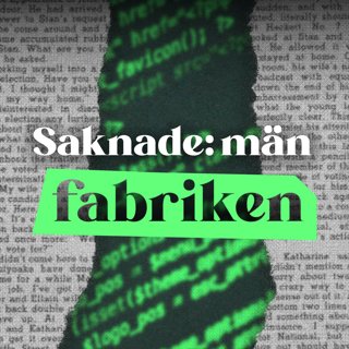 Mansbrist på sociala medier - nästa demokratiproblem?