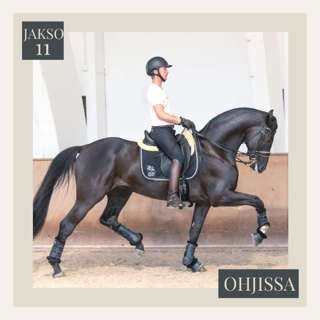 11. Onni suosii ahkeraa. - Vieraana Ville Vaurio