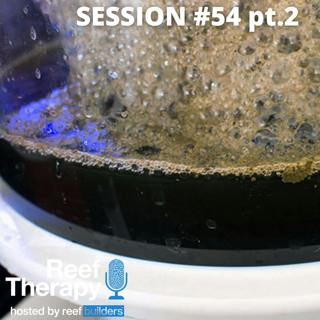 Protein Skimmers, EVERYTHING you could want to know pt.2