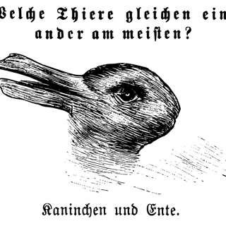 Wednesday, November 12, 2025 - It was a horse! Mule! Horse! Mule! ...