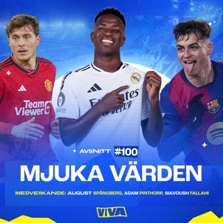 #100 - Mjuka värden