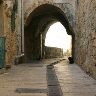 Only Israel - The Jay Shapiro Show