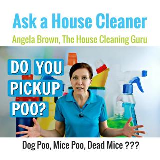 Dog Poo and Mice Poo - Should Your Maid Clean it Up?