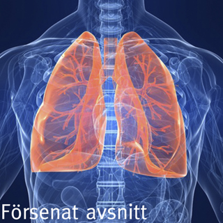 Inget nytt avsnitt idag, kommer förhoppningsvis senare i veckan!