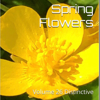 Spring Flowers Volume 26 Distinctive by Daniel Lucas