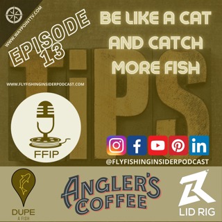 Be Like a Cat And Catch More Fish When Fly Fishing