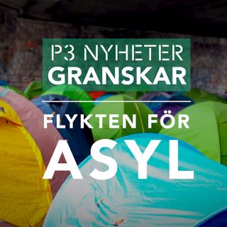 Flykten för asyl - P3 Nyheter Granskar
