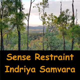 Sense Restraint | Self Control | Indriya Samvara | AN Eights #9 'Nanda Sutta'| Ajahn Dhammasiha 