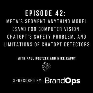 #42: Meta’s Segment Anything Model (SAM) for Computer Vision, ChatGPT’s Safety Problem, and the Limitations of ChatGPT Detectors