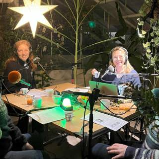 Naturpanelen om tvestjärtskarusell, lövblås och bogserande svanar
