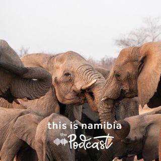 A Century of stewardship: The history of conservation in Etosha National Park