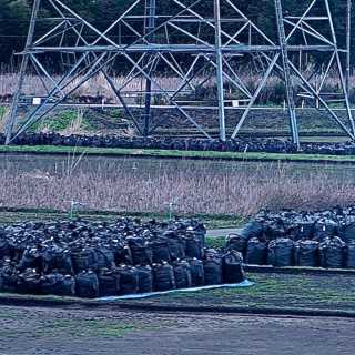Vad händer i Fukushima?