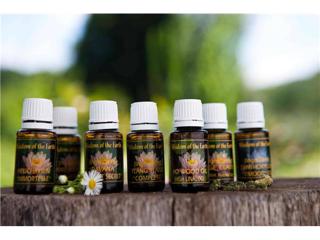 John Odlum: Essential Oils & You - LIVE!
