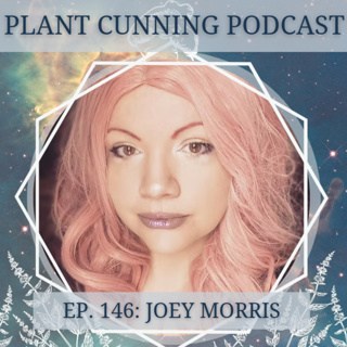 Ep. 186: Celtic Hedge Witchery with Joey Morris