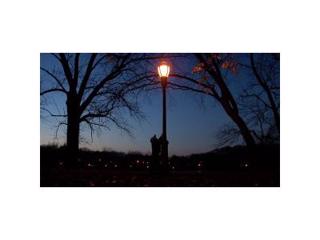 Todd Drezner Loving Lamposts - Living Autistic