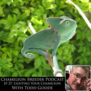 Ep 27: Lighting Your Chameleon with Todd Goode