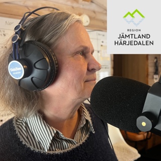 Avsnitt 87. Så ska vi ordna med jämlik vård för alla!