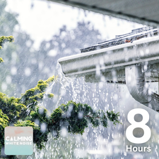 Rain and Thunder on Roof Sound (8 Hours) | Rain Sounds for Sleeping