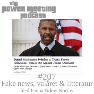 #207 – Fake News, valåret & litteratur med Fanna Ndow Norrby