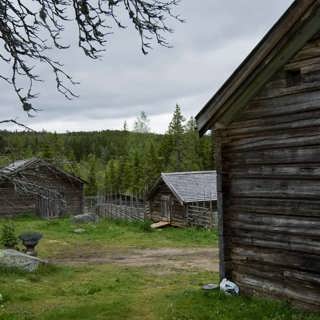 Getter, kullor och mesost – om fäbodens historia