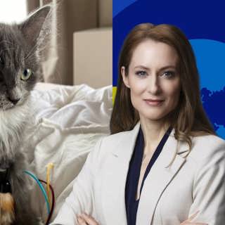 Hunden och katten – den rikes bästa vänner
