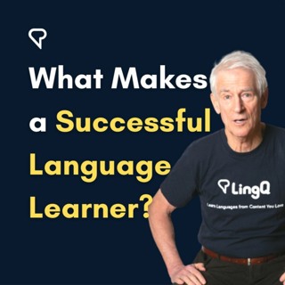 What Makes A Successful Language Learner?