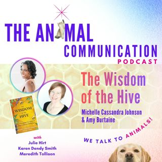 The Wisdom of the Hive with Michelle Cassandra Johnson and Amy Burtaine