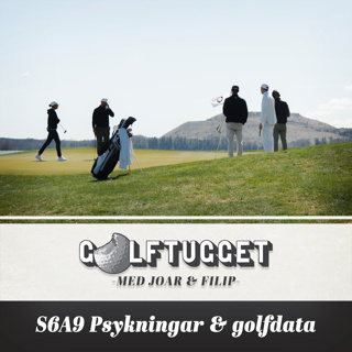 S6A9 Psykningar & golfdata