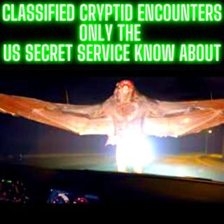 CLASSIFIED CRYPTID ENCOUNTERS ONLY THE US SECRET SERVICE and PRESIDENT KNOW ABOUT 3 HOURS!