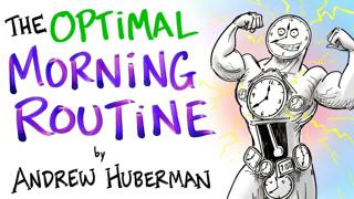 The Optimal Morning Routine - Andrew Huberman | After Skool