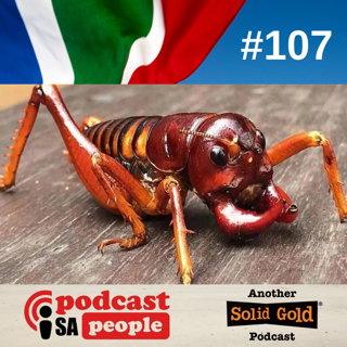 #107 Don't Shut Down - Switch On!