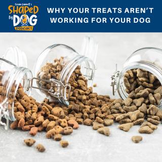 Why Your Treats Aren't Working for Your Dog #59