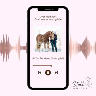 #113 - Poddens första gäst!