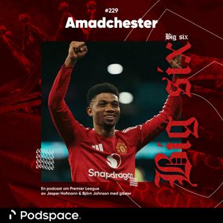 229. Amadchester