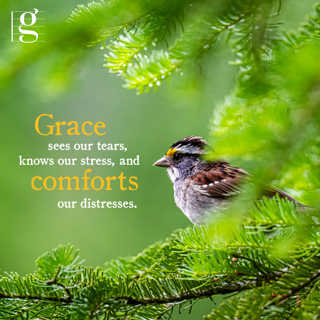 GRACE WATCHING OVER ME (May 01, 2026)