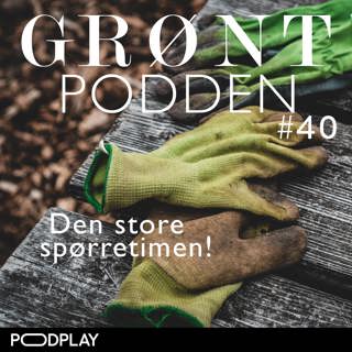 #40 Den store spørretimen!