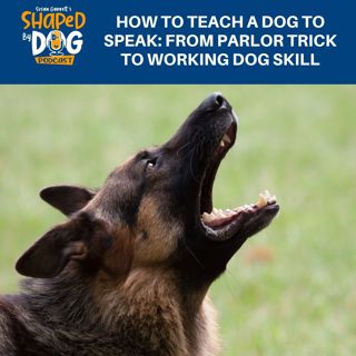 How To Teach A Dog To Speak: From Parlor Trick To Working Dog Skill #275