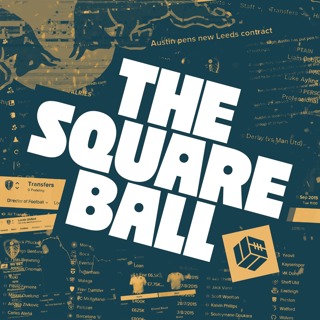 Phoenix Football Manager: The Squad Takes Shape