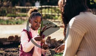 Gardening With Kids: Getting Them Started