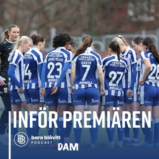 752. DAM Inför Premiären!