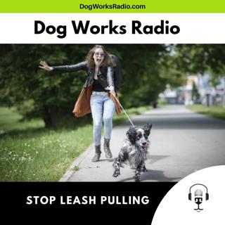 Stop Leash Pulling: Dog Training That Actually Works in Alaska