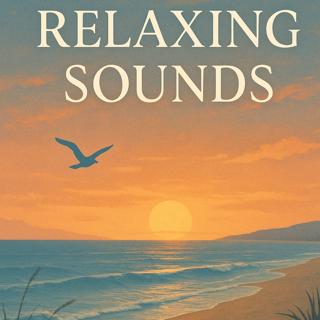 Relaxing Sounds – Calm Seaside Evening | Sleep, Study, Focus | (8 Hours)