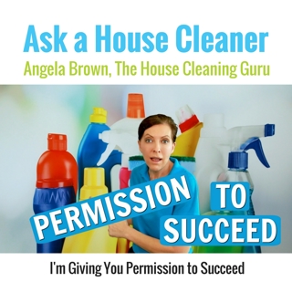Permission to Succeed in House Cleaning
